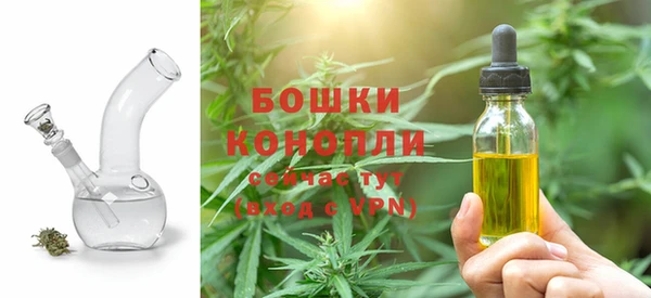 спиды Бородино