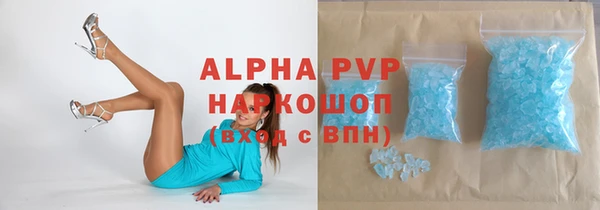 спиды Бородино