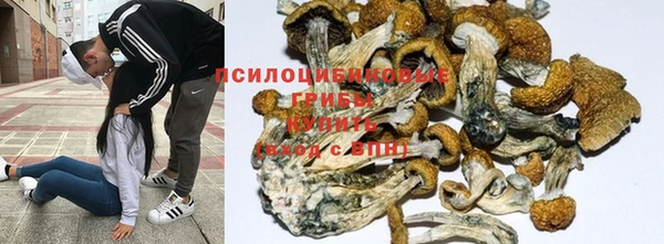 гидропоника Богородицк