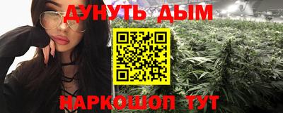 Альфа ПВП Малгобек