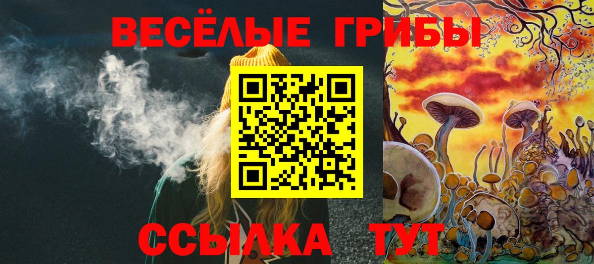 Псилоцибиновые грибы прущие грибы  Галлюциногенные грибы GOLDEN TEACHER  Горячий Ключ  Вход с VPN 